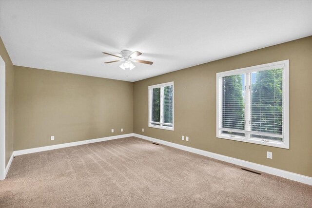 216 N Dianne Ln, Mahomet, IL 61853 - photo 17