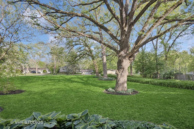 S070 River Ln, Winfield, IL 60190 - view of grassy yard