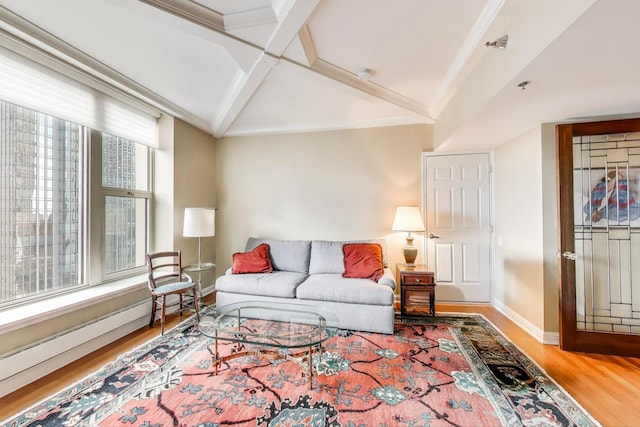 25 E Superior St Unit 2501, Chicago, IL 60611 - living area featuring wood finished floors, baseboards, and a baseboard radiator