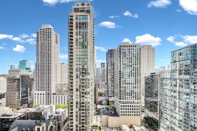 25 E Superior St Unit 2501, Chicago, IL 60611 - view of city skyline