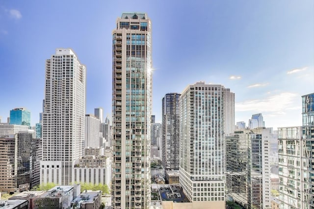 25 E Superior St Unit 2501, Chicago, IL 60611 - view of city skyline