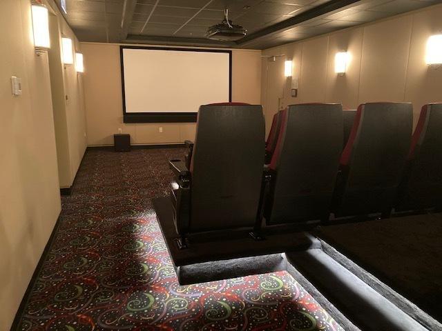 25 E Superior St Unit 2501, Chicago, IL 60611 - home theater with carpet flooring and a paneled ceiling
