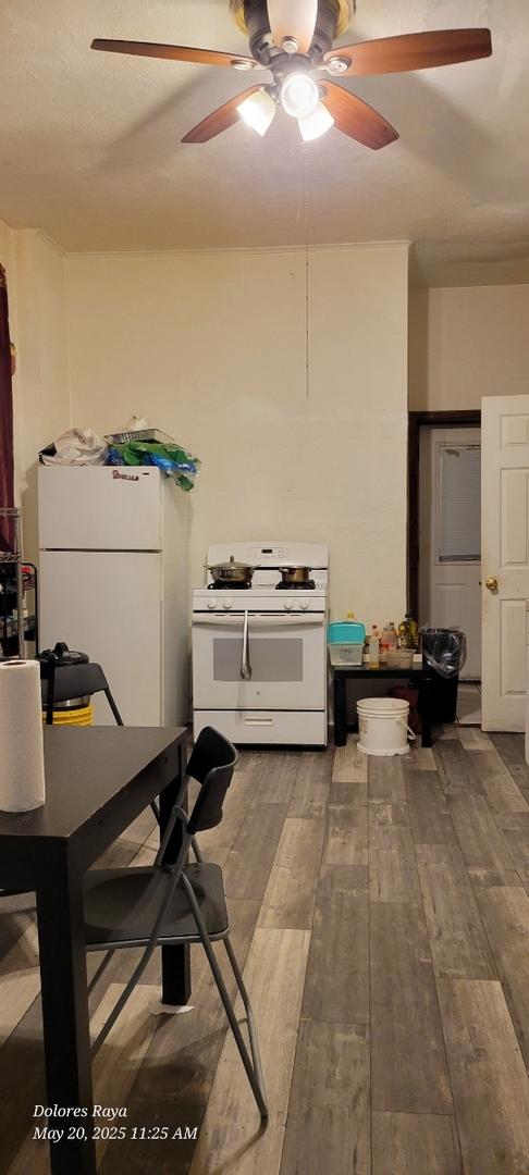 1507 W Erie St, Chicago, IL 60642 - dining space with ceiling fan and hardwood / wood-style flooring