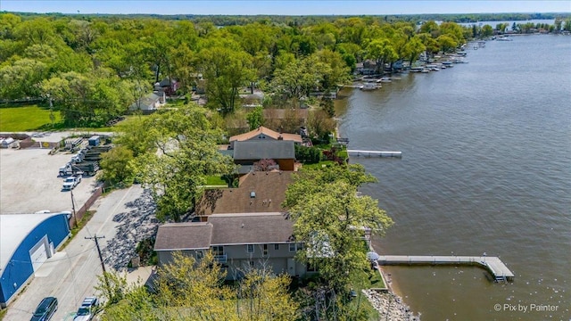 bird's eye view of a large body of water and a forest