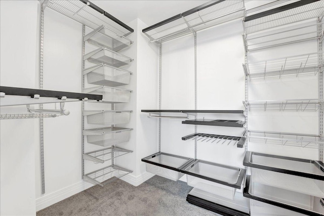 walk in closet with carpet flooring
