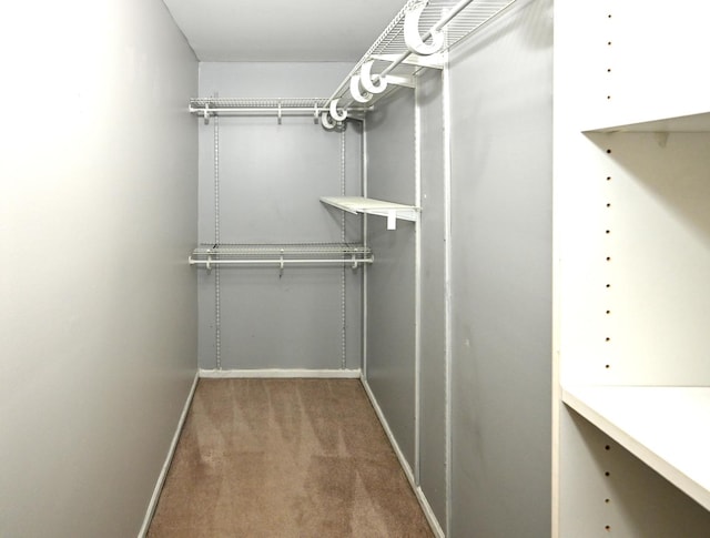 928 Surrey Dr Unit 1A, Schaumburg, IL 60193 - walk in closet with carpet floors