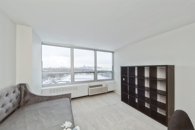 4800 S Chicago Beach Dr Unit 1007N, Chicago, IL 60615 - sitting room with radiator and carpet