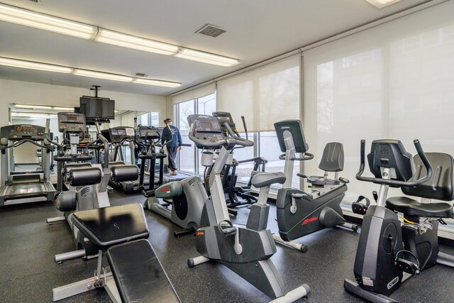 4800 S Chicago Beach Dr Unit 1007N, Chicago, IL 60615 - view of workout area