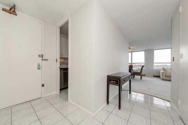 4800 S Chicago Beach Dr Unit 1007N, Chicago, IL 60615 - corridor with light tile patterned flooring and baseboards