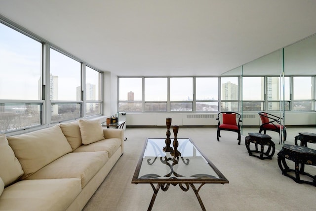 4800 S Chicago Beach Dr Unit 1007N, Chicago, IL 60615 - living room with carpet flooring