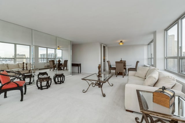 4800 S Chicago Beach Dr Unit 1007N, Chicago, IL 60615 - view of carpeted living area