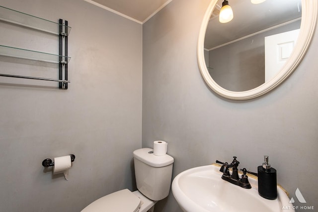 bathroom featuring a sink, toilet, and ornamental molding
