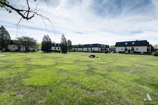 view of grassy yard