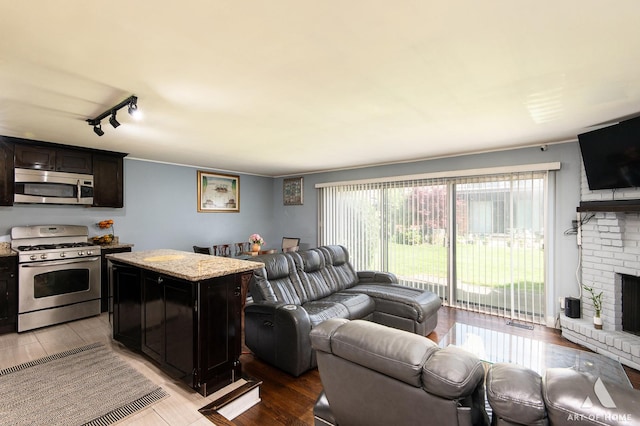 living area featuring a fireplace, wood finished floors, and track lighting