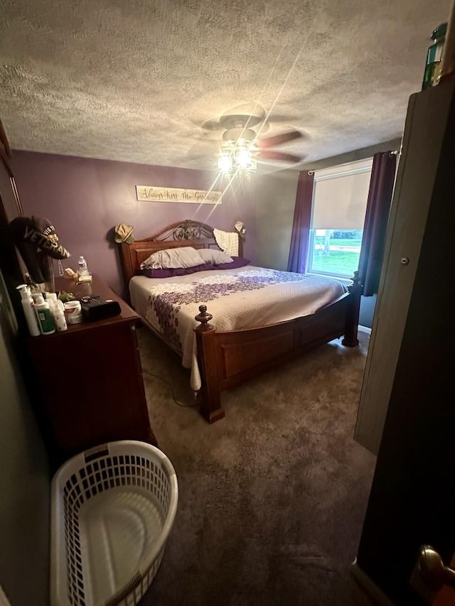 795 N Erie St, Braidwood, IL 60408 - bedroom featuring a textured ceiling and dark carpet
