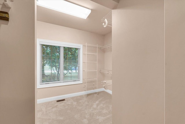 4410 Southford Trace Dr, Champaign, IL 61822 - spacious closet with carpet floors