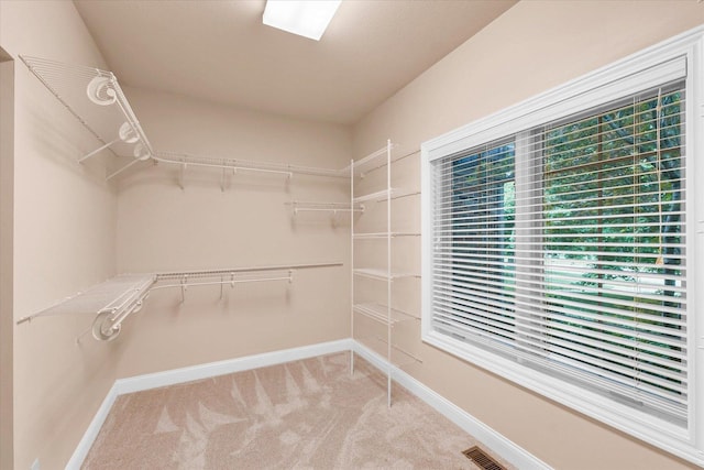 4410 Southford Trace Dr, Champaign, IL 61822 - spacious closet with light colored carpet