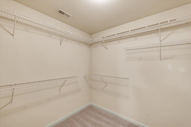 4410 Southford Trace Dr, Champaign, IL 61822 - walk in closet featuring light colored carpet