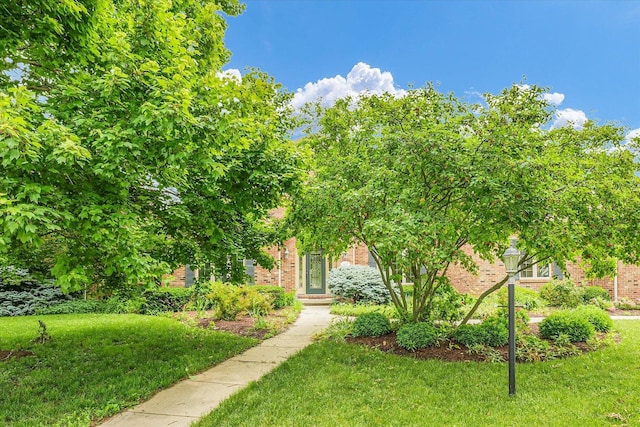4410 Southford Trace Dr, Champaign, IL 61822 - obstructed view of property with a front lawn and brick siding