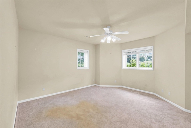4410 Southford Trace Dr, Champaign, IL 61822 - carpeted empty room featuring plenty of natural light, baseboards, and a ceiling fan