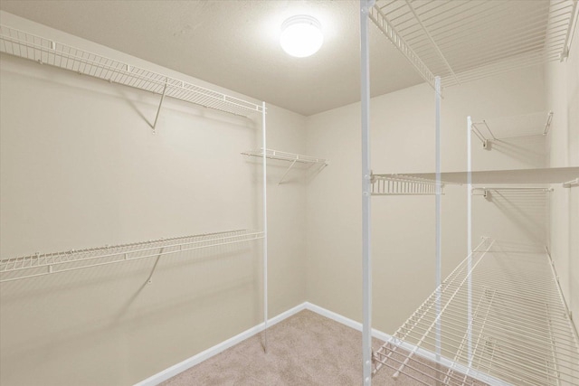4410 Southford Trace Dr, Champaign, IL 61822 - walk in closet featuring carpet flooring