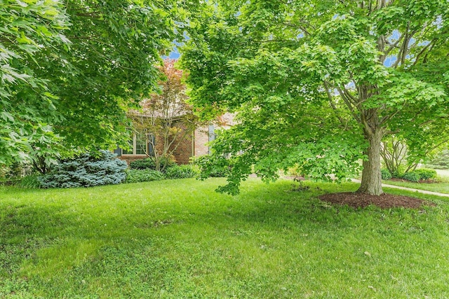 4410 Southford Trace Dr, Champaign, IL 61822 - view of yard
