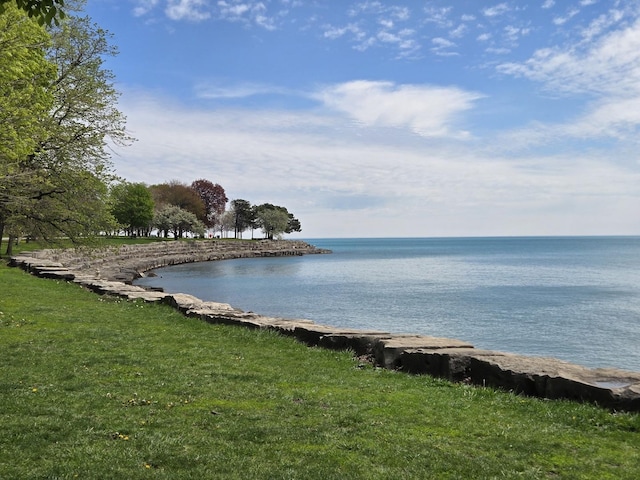 6137 S Kimbark Ave Unit 1, Chicago, IL 60637 - water view