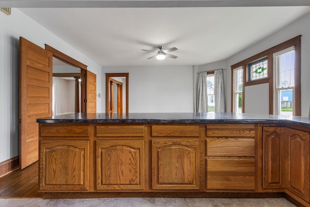201 E Court St, Paris, IL 61944 - kitchen featuring brown cabinets and ceiling fan