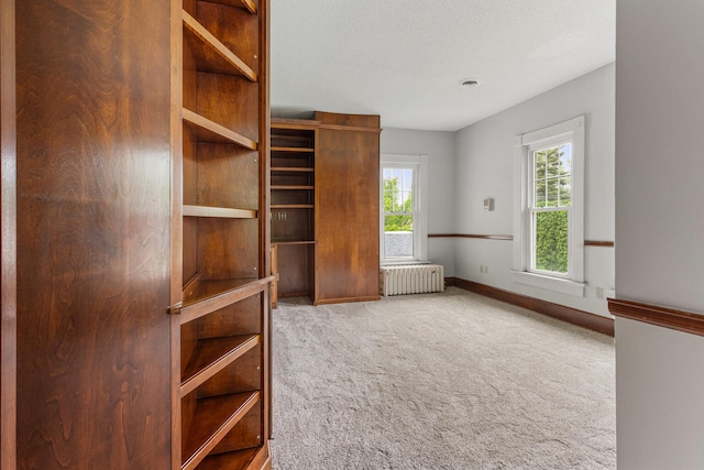 201 E Court St, Paris, IL 61944 - spacious closet with radiator and carpet floors