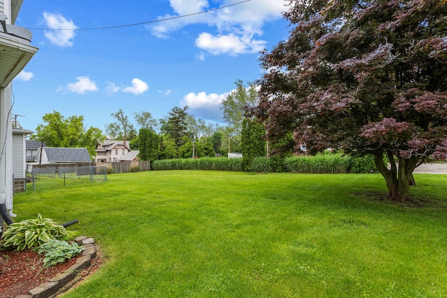 201 E Court St, Paris, IL 61944 - view of yard