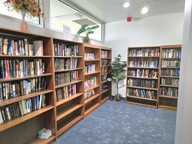4800 S Chicago Beach Dr Unit 1211N, Chicago, IL 60615 - living area with bookshelves, carpet flooring, and rail lighting