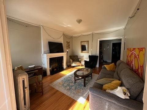 5110 S Woodlawn Ave Unit 3H, Chicago, IL 60615 - living area featuring wood finished floors and a fireplace