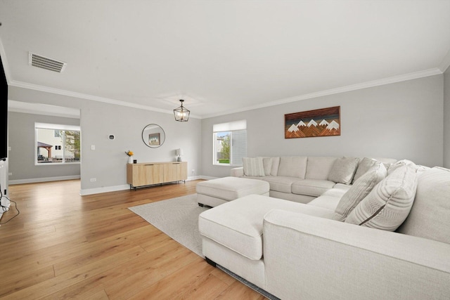 14530 General Dr, Plainfield, IL 60544 - living room featuring healthy amount of natural light, crown molding, light wood-style floors, and baseboards