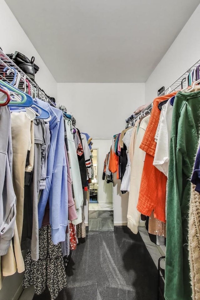 501 Coventry Ln Unit 3, Crystal Lake, IL 60014 - view of walk in closet