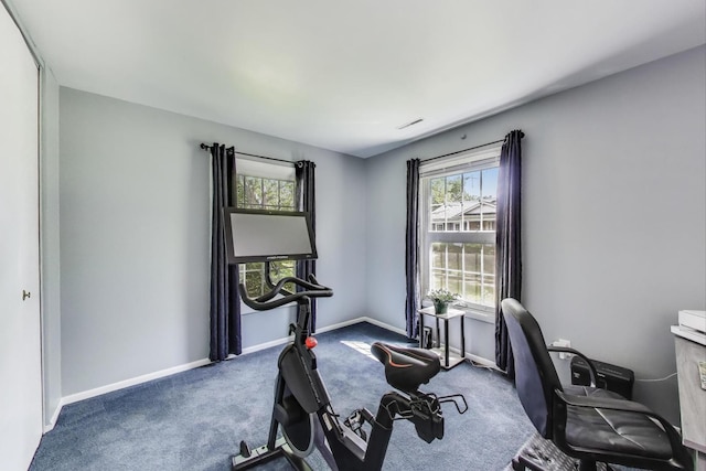 501 Coventry Ln Unit 3, Crystal Lake, IL 60014 - workout area featuring carpet floors and baseboards