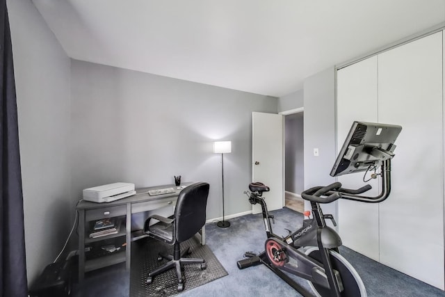 501 Coventry Ln Unit 3, Crystal Lake, IL 60014 - home office with carpet