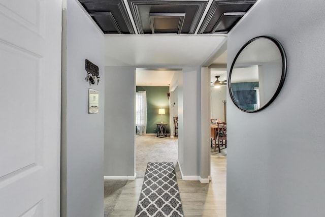 501 Coventry Ln Unit 3, Crystal Lake, IL 60014 - hall with baseboards