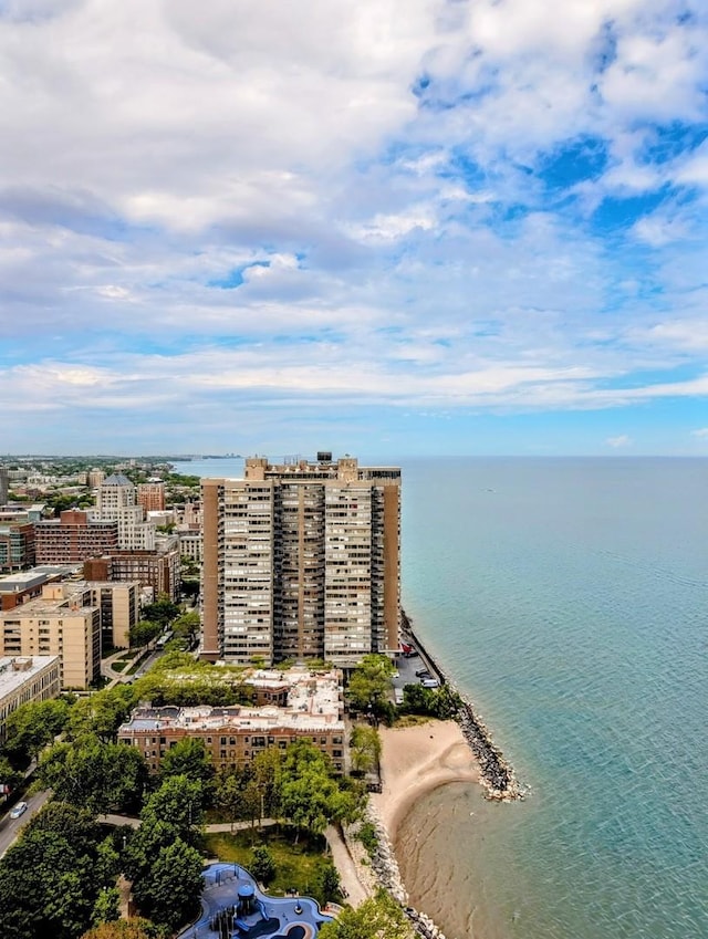 6171 N Sheridan Rd Unit 402, Chicago, IL 60660 - aerial view of unending shoreline