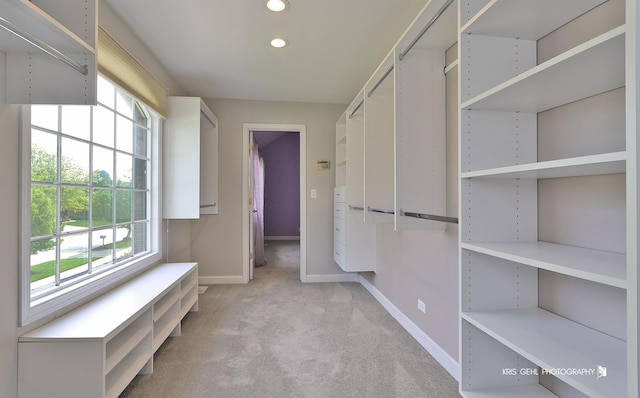 2653 Clara Ave, Aurora, IL 60502 - spacious closet with light carpet