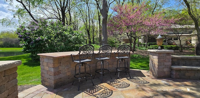 2653 Clara Ave, Aurora, IL 60502 - view of patio featuring a water view