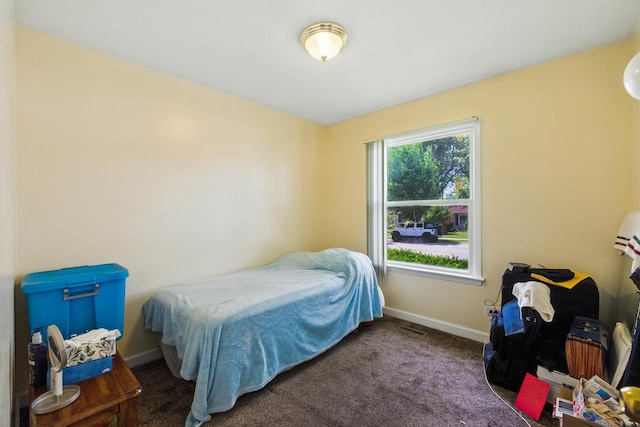1724 Sycamore Ave, Hanover Park, IL 60133 - bedroom with carpet flooring and baseboards