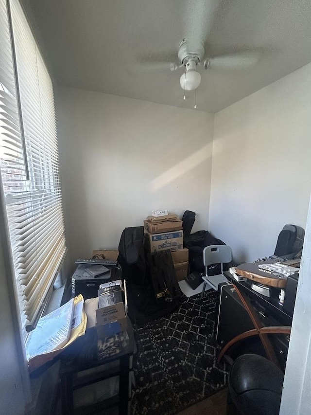 office space featuring ceiling fan and carpet floors