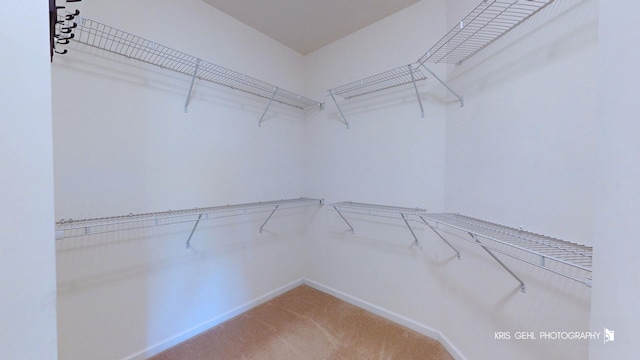 1400 Colchester Ln, Aurora, IL 60505 - walk in closet with light carpet