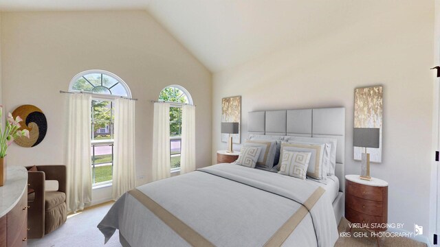 1400 Colchester Ln, Aurora, IL 60505 - bedroom featuring high vaulted ceiling and light carpet