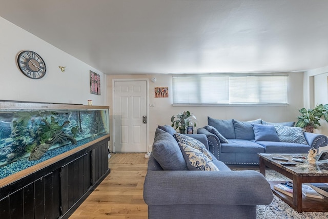 7426 W 64th St, Summit, IL 60501 - living area featuring light wood-style flooring and plenty of natural light