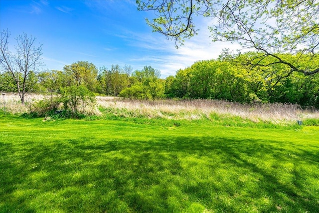 view of grassy yard