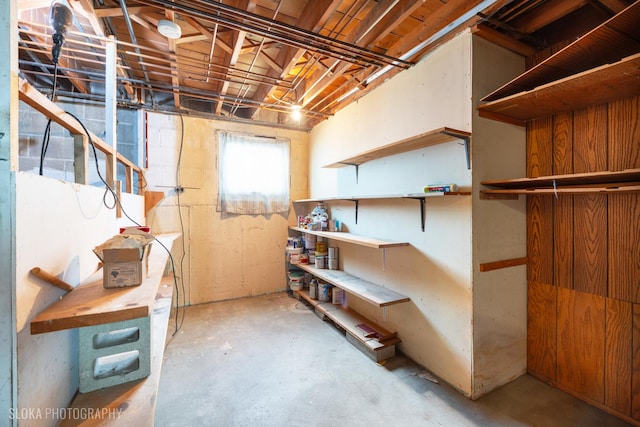 below grade area with a workshop area