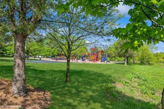 2140 Colchester Ave, Hoffman Estates, IL 60192 - view of green lawn