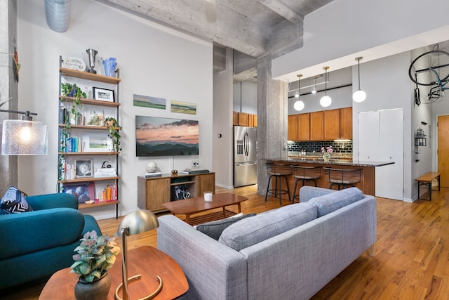 living area with light wood finished floors and rail lighting