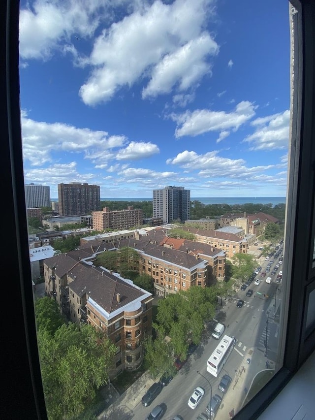 3930 N Pine Grove Ave Unit 1703, Chicago, IL 60613 - view of city